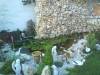 /album/realizacia-okrasnych-zahrad/a270151-196602363724530-2891411-n-jpg/